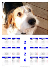calendrier photo annuel
